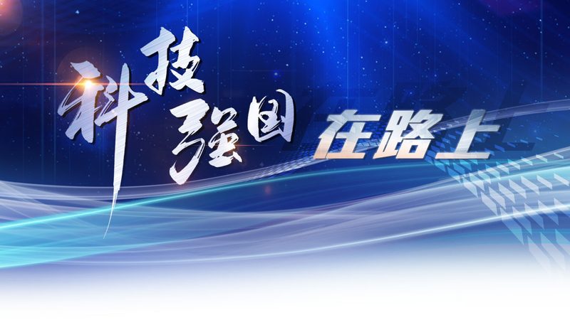 知识表示学习方法：探寻高效智能的奥秘